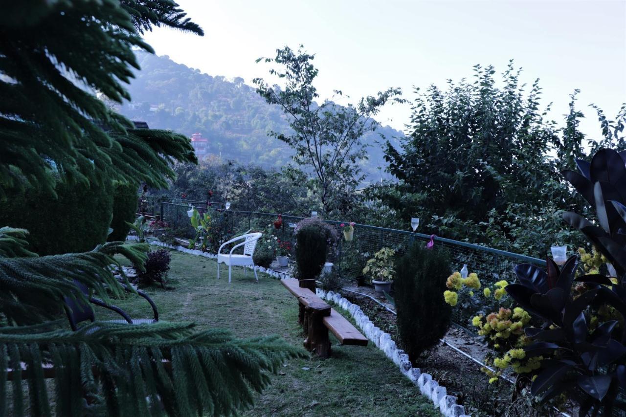 Wildleaf Kasauli Valley Homz Bed & Breakfast Exterior photo