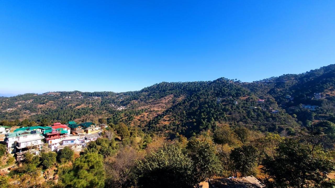 Wildleaf Kasauli Valley Homz Bed & Breakfast Exterior photo